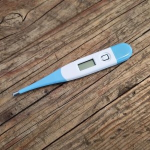 Digital Thermometer