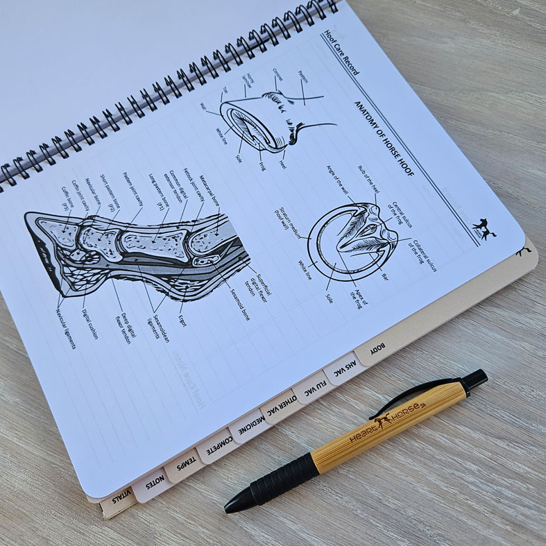 Journal - Hardcover - Heart Horse™ - Image 3